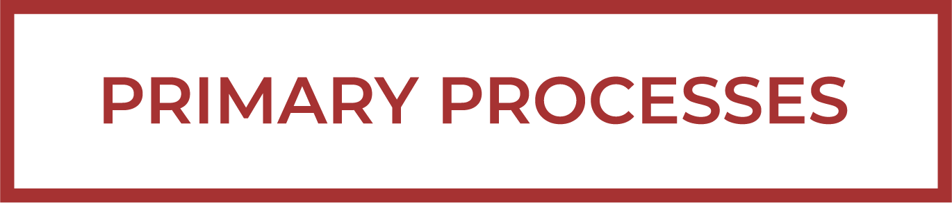 processi-eng-29